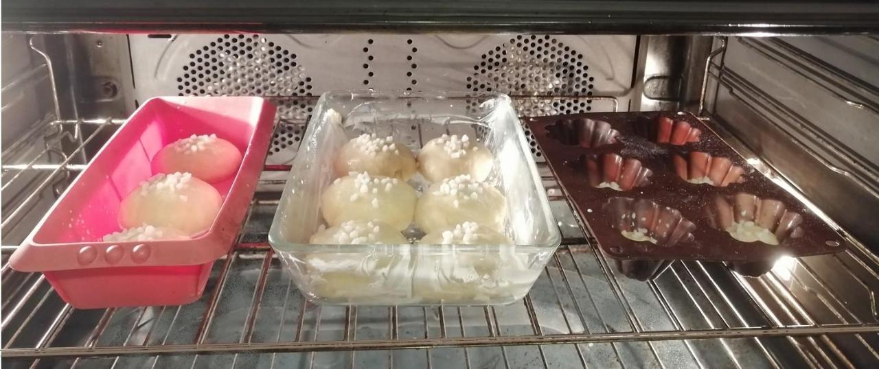卡尔卡松别墅 外观 照片
